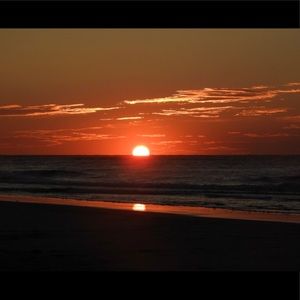 Meet your Posher, Maisie